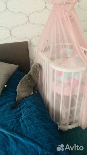 Балдахин с держателем в кроватку