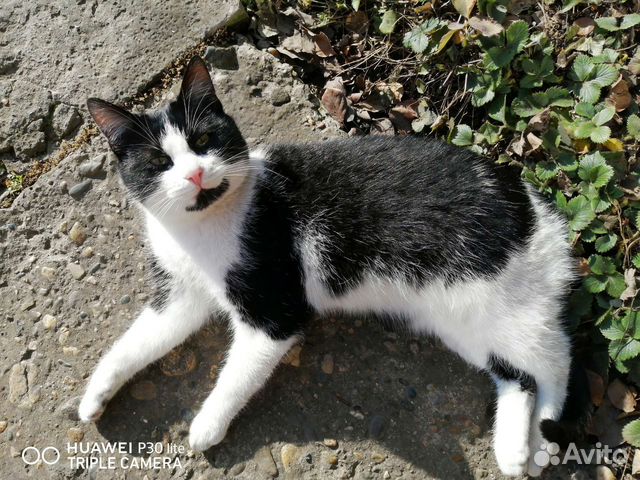 Европейская