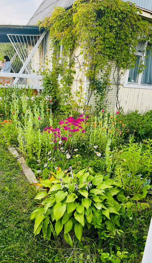 Дом 40 м² на участке 6 сот.