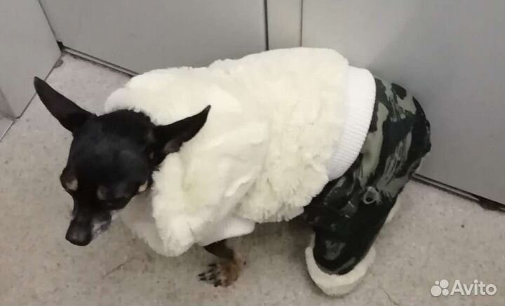 Тойчик. Вязка