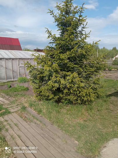 Дом 60 м² на участке 8 сот.