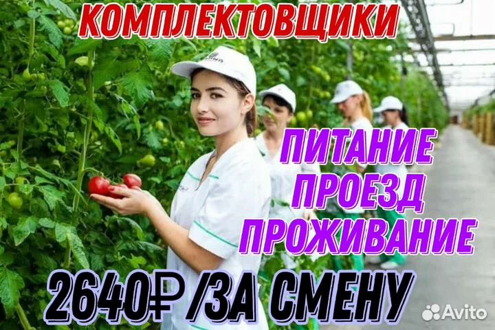 Вахта сбор урожая