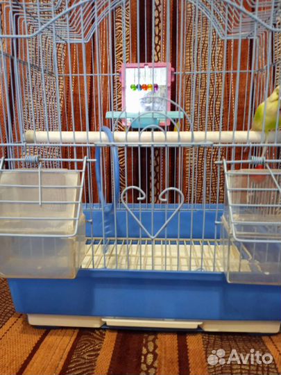 Клетка для попугая