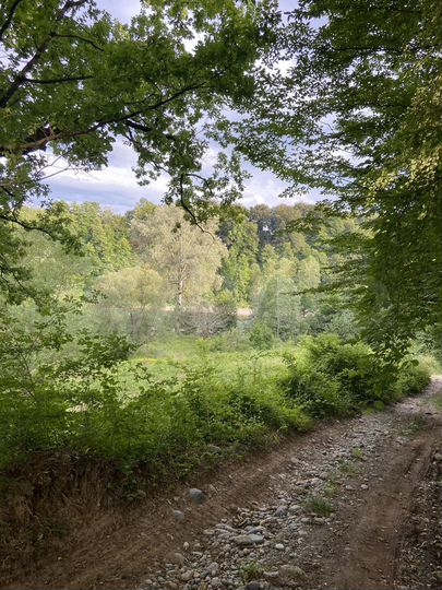 Участок 10 сот. (СНТ, ДНП)