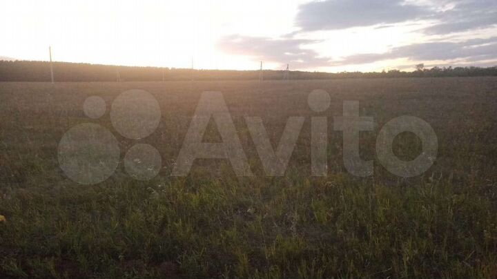 Участок 15 га (ИЖС)