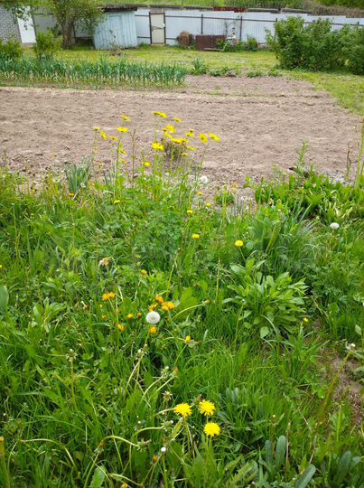 Дача 22,5 м² на участке 6,7 сот.