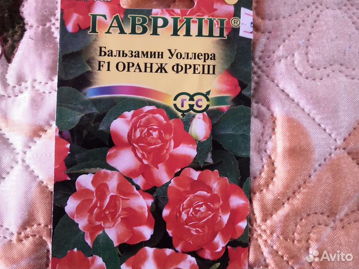 Бальзамин