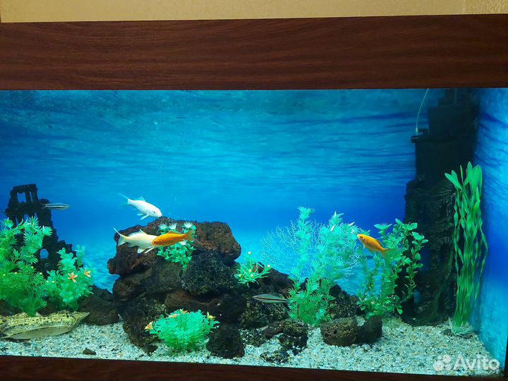 Требуется специалист для обслуживания аквариумов