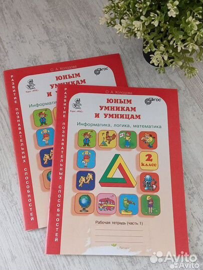 Рабочие тетради Юным умникам и умницам. Холодова
