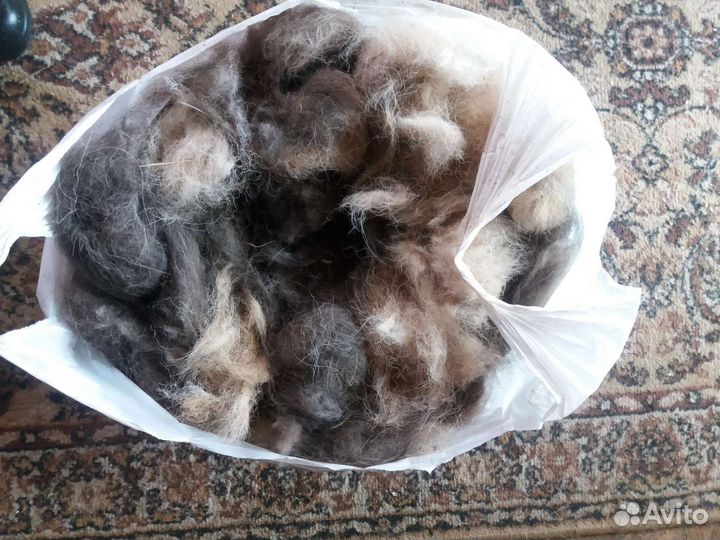 Продам шерсть от кавказской овчарки
