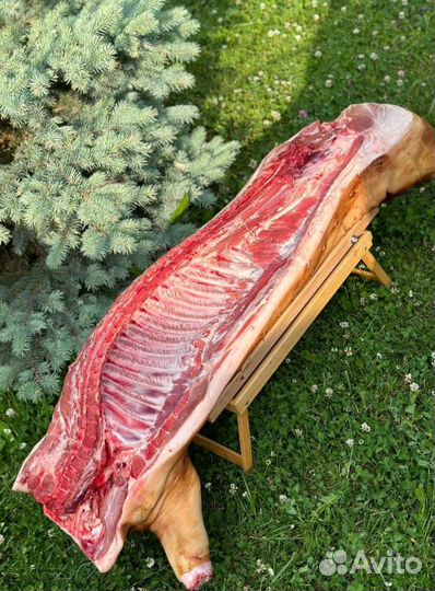 Свинина — полутуши (высший сорт)