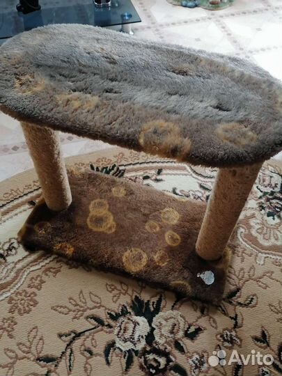 Когтеточка для кошек бу