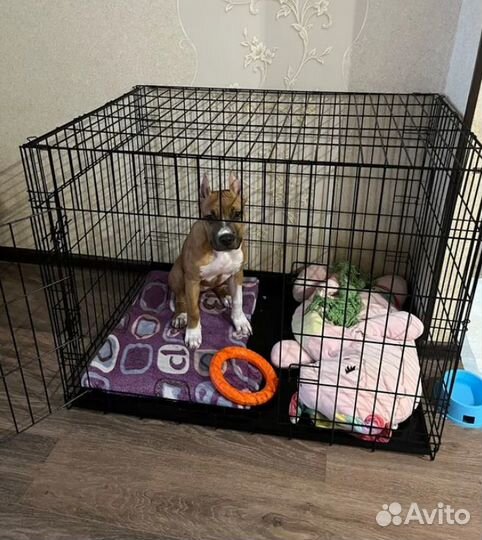 Клетка для собак №5 размер 100х70х76см