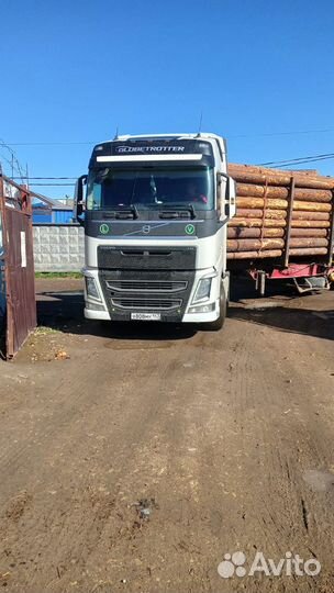 Пиловочник (хвоя)