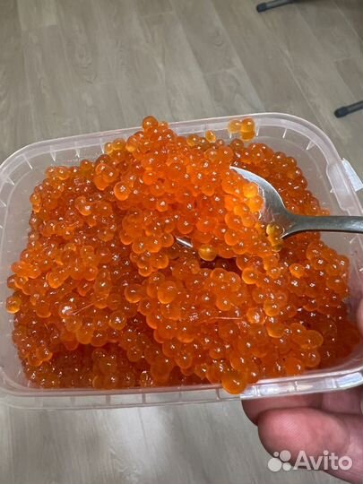 Красная икра 2023