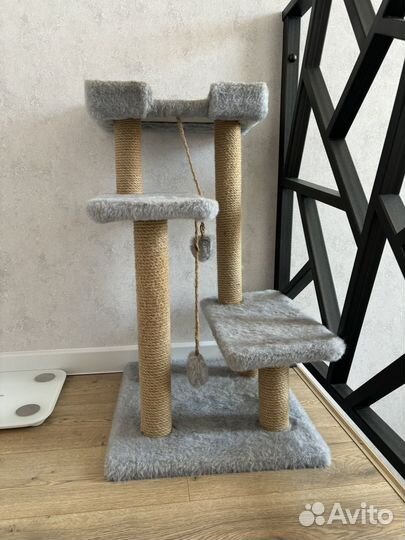 Когтеточка