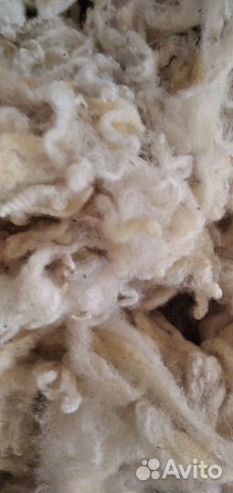 Шерсть овечья мытая