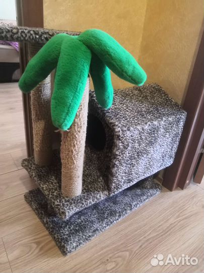 Бенгальская кошка