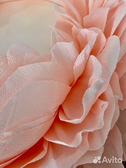 Цветок люлька для фотосесии