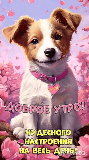 Выгуляю питомца собаку если вам некогда