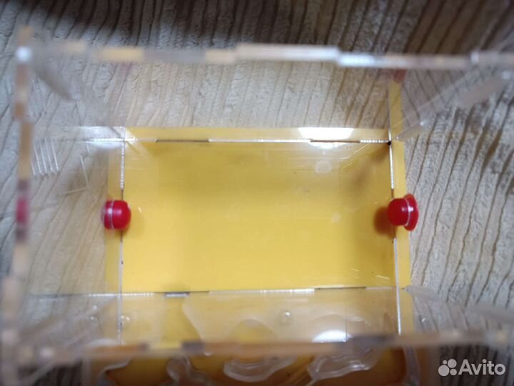 Формикарий муравьиная ферма