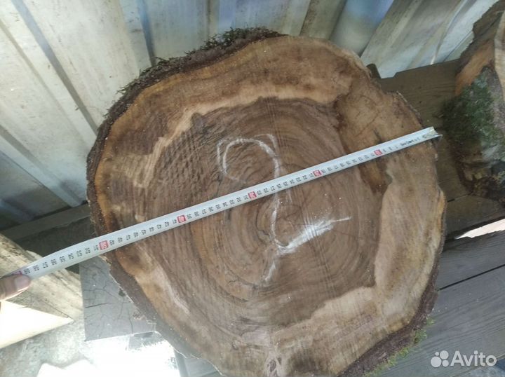 Спил слэб ореха