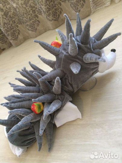 Костюм ёжика