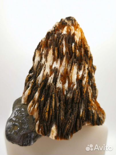 Барит, галенит. Белореченское