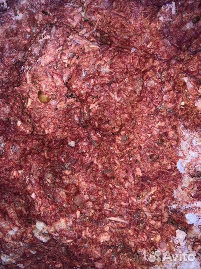 Фарш для собак