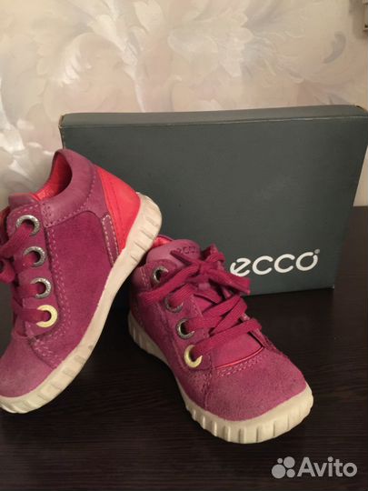 Ecco