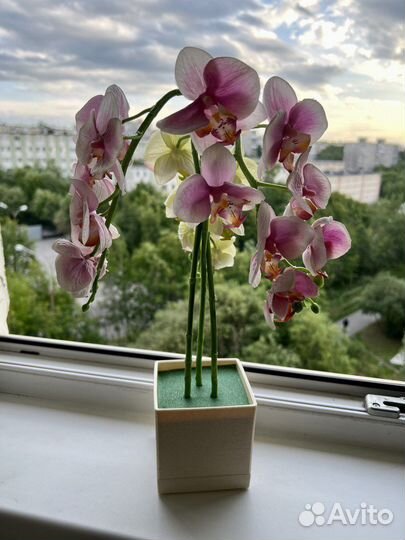 Композиция орхидея в кашпо