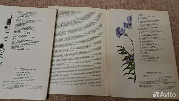Открытки лекарственные растения выпуск 4 и 5
