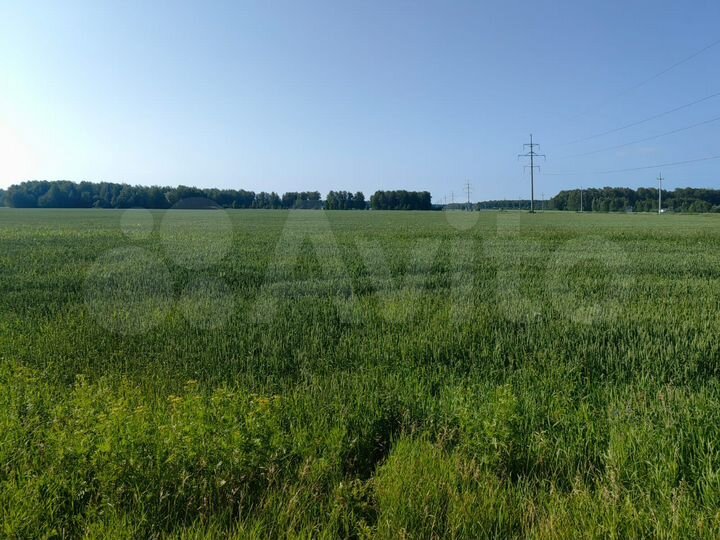 Участок 49,99 га (СНТ, ДНП)