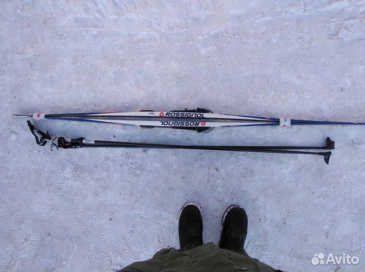 Беговые лыжи