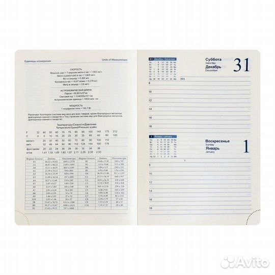 Ежедневник датированный 2025 г. А5 168л Небраска