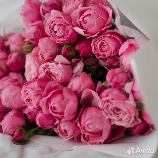 Кустовые пионовидные розы