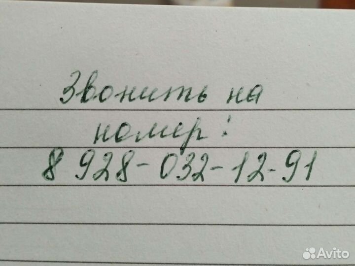 Домашние куриные яйца