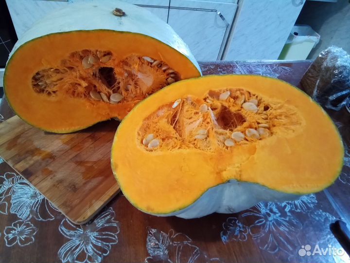 Семена крупноплодной тыквы