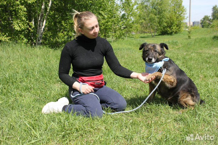 Баллин-красотка ищет дом