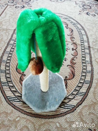 Продам для кошки(кота)