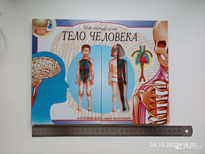 Атлас Тело человека