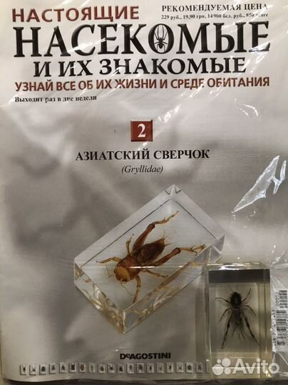 Журналы настоящие насекомые