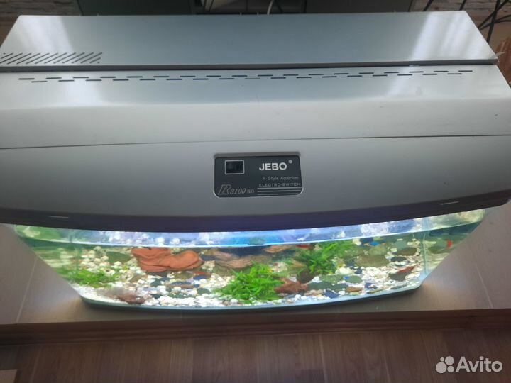 Jebo r 3100 на 240 литров