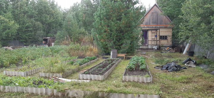 Дача 40 м² на участке 12 сот.