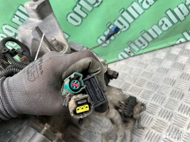 АКПП Ford Focus 1 eddb 2001