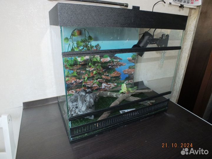 Новый террариум для геконов, эублефаров, агам