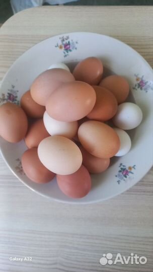 Домашние куриные яйца