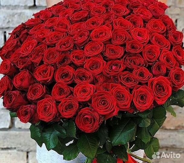 Букет роз 101 роза 51 роза