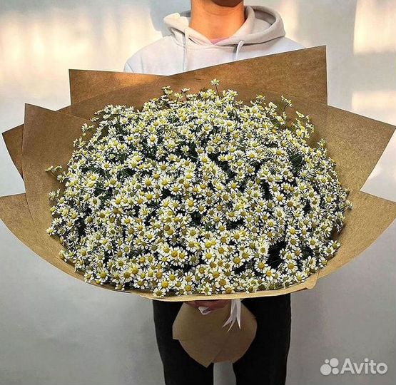 Ромашки букет