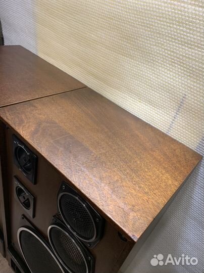 Колонки Padiotehniks S-90, Электроника Б1-01